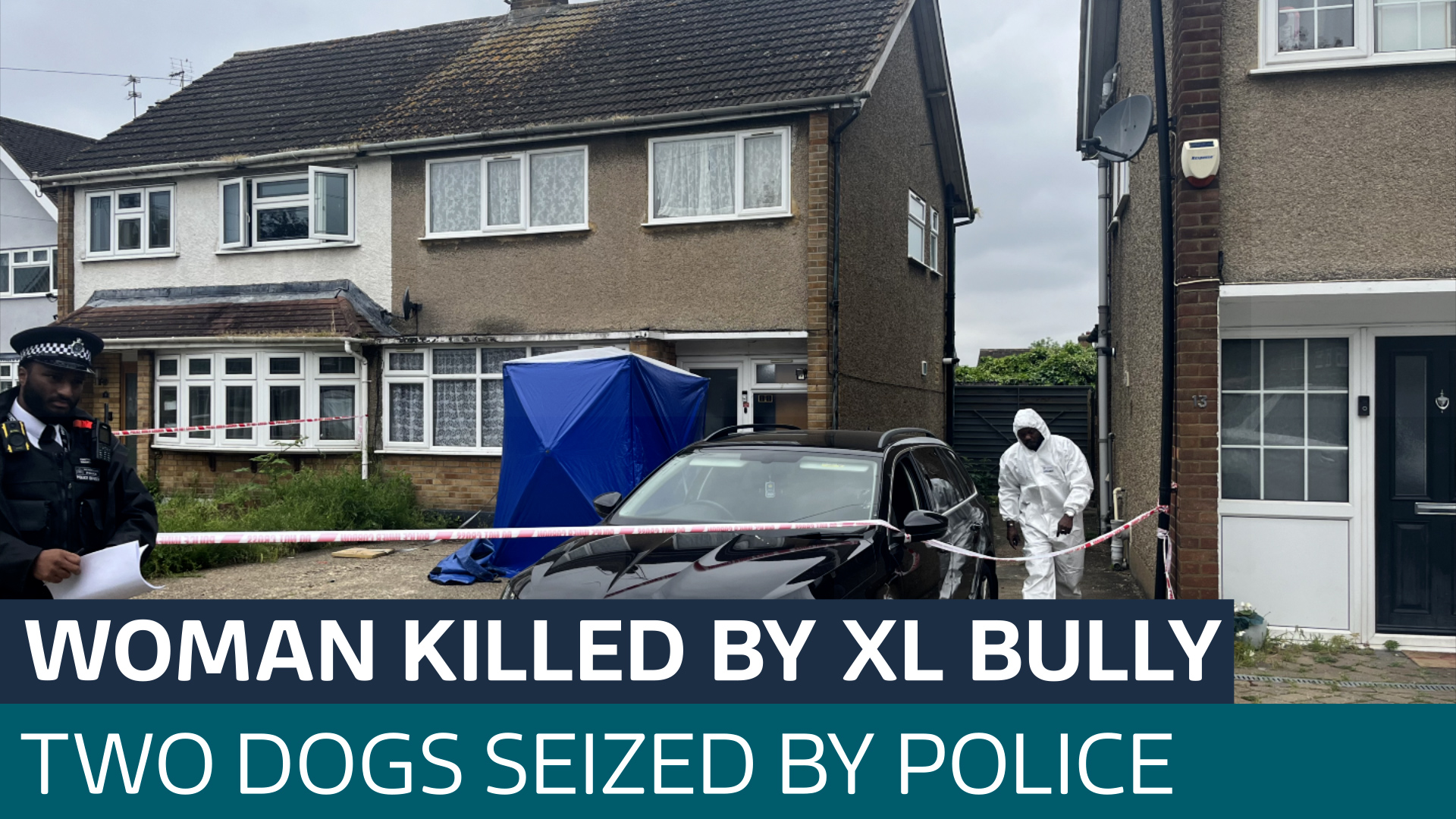 Tributes paid to woman killed by two XL bully dogs in east London ...