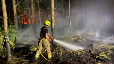 Firefighters tackle a wildfire during record-breaking temperatures on the Norfolk-Suffolk border. Image: Reach plc.