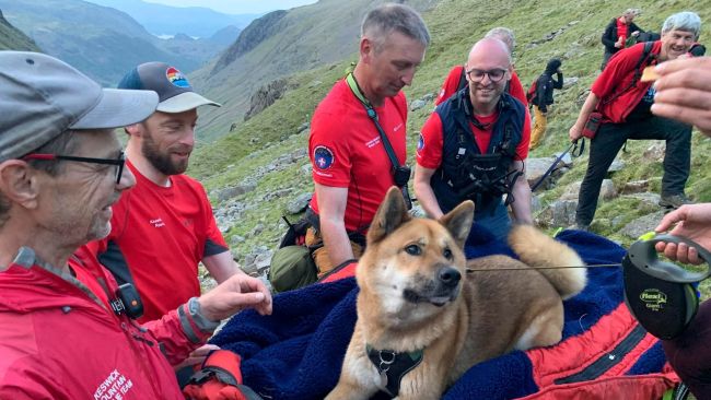 A dog was rescued after becoming injured descending from Scafell Pike on Saturday. Picture: Keswick Mountain Rescue Team. 
