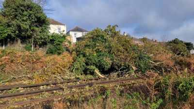 271121-Oak tree on traintracks at pokesdown-credit gemma smith