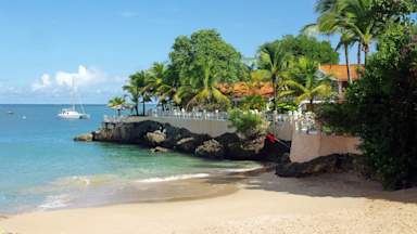 British tourist, 64, in hospital after shark attack in Tobago