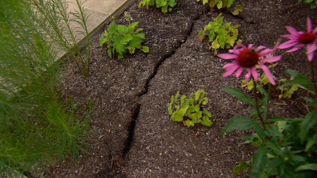 ITV News : The Latest Gardening News