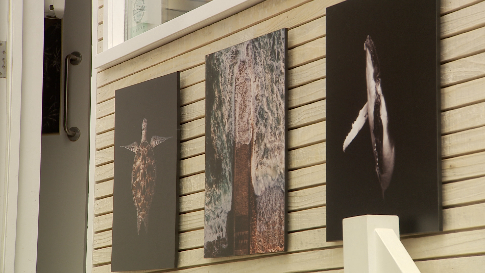 Turning the tides on climate change through exhibitions in Jersey - ITV News