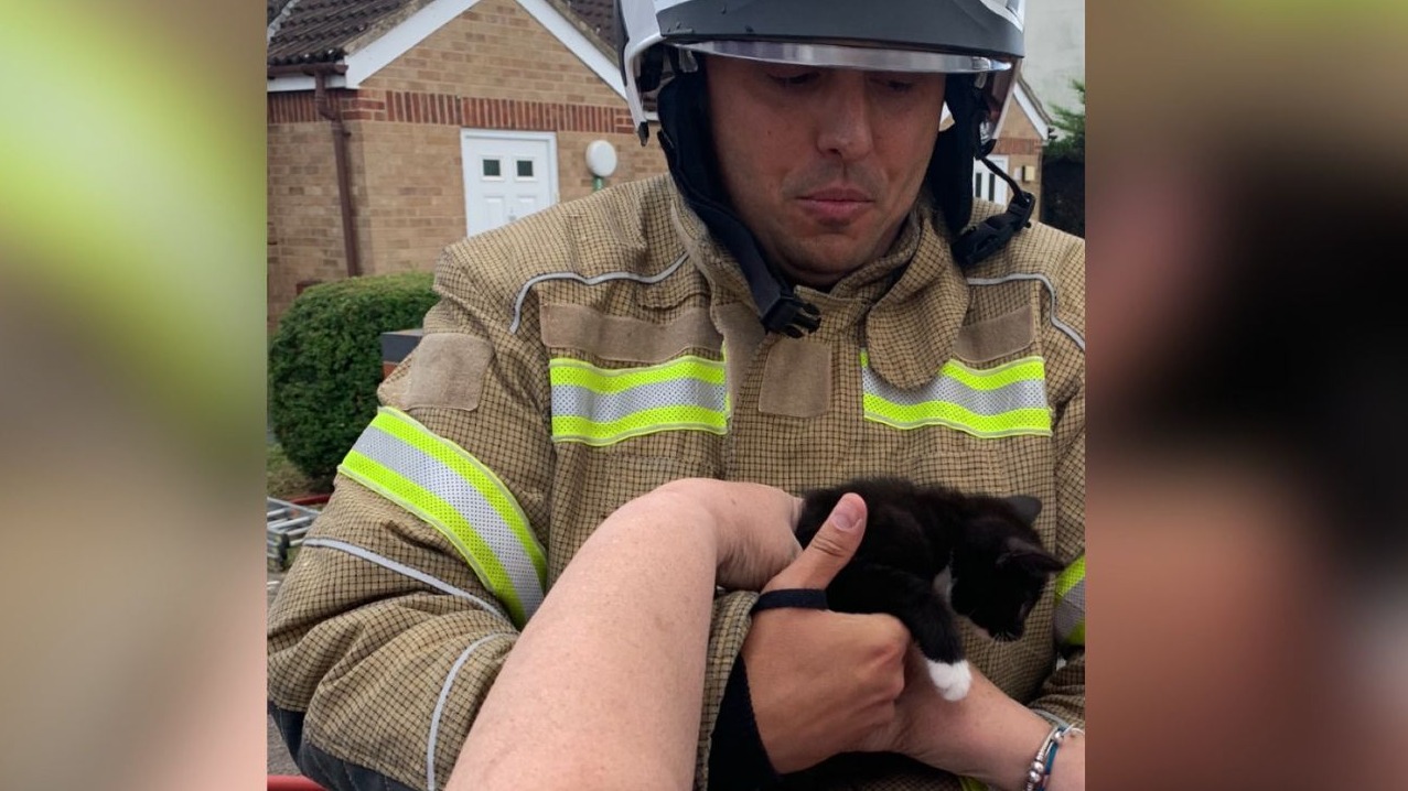 Kittens Rescued From Burning House By Gloucestershire Fire Crews 