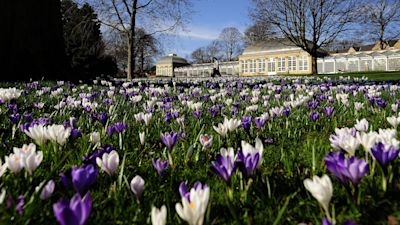 Sheffield Botanical Gardens
