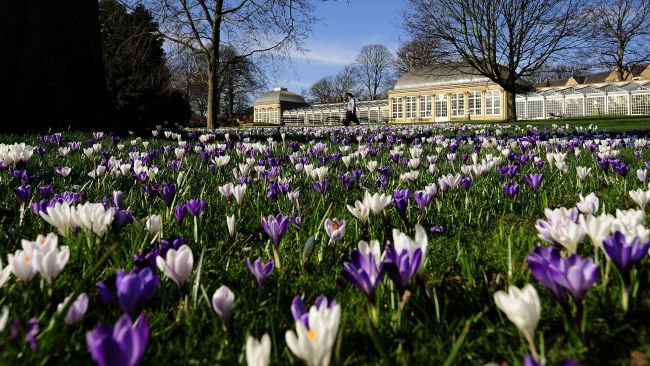 Sheffield Botanical Gardens