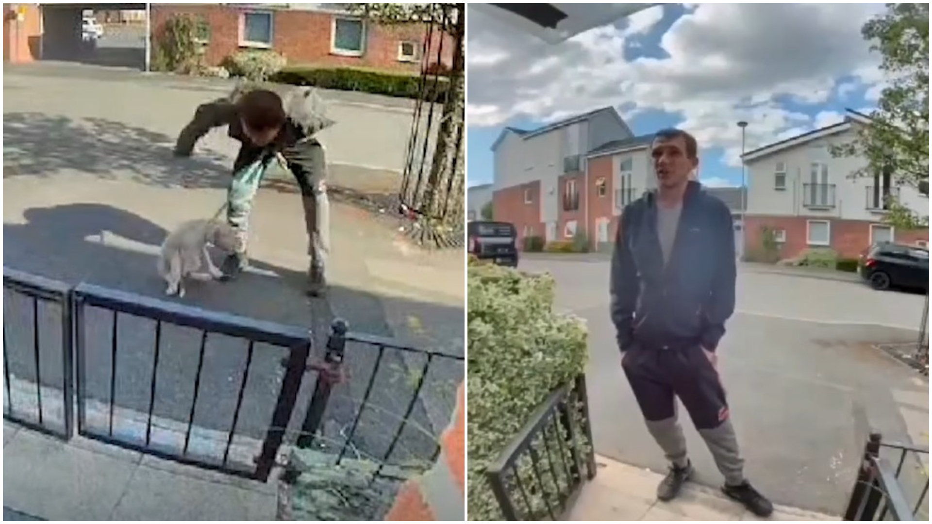 Man who beat puppy in Stoke-on-Trent returns to house with doorbell camera  that caught him | ITV News Central
