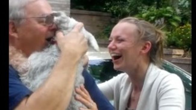 Dog faints from 'overwhelming joy' when owner returns after two years away | ITV News