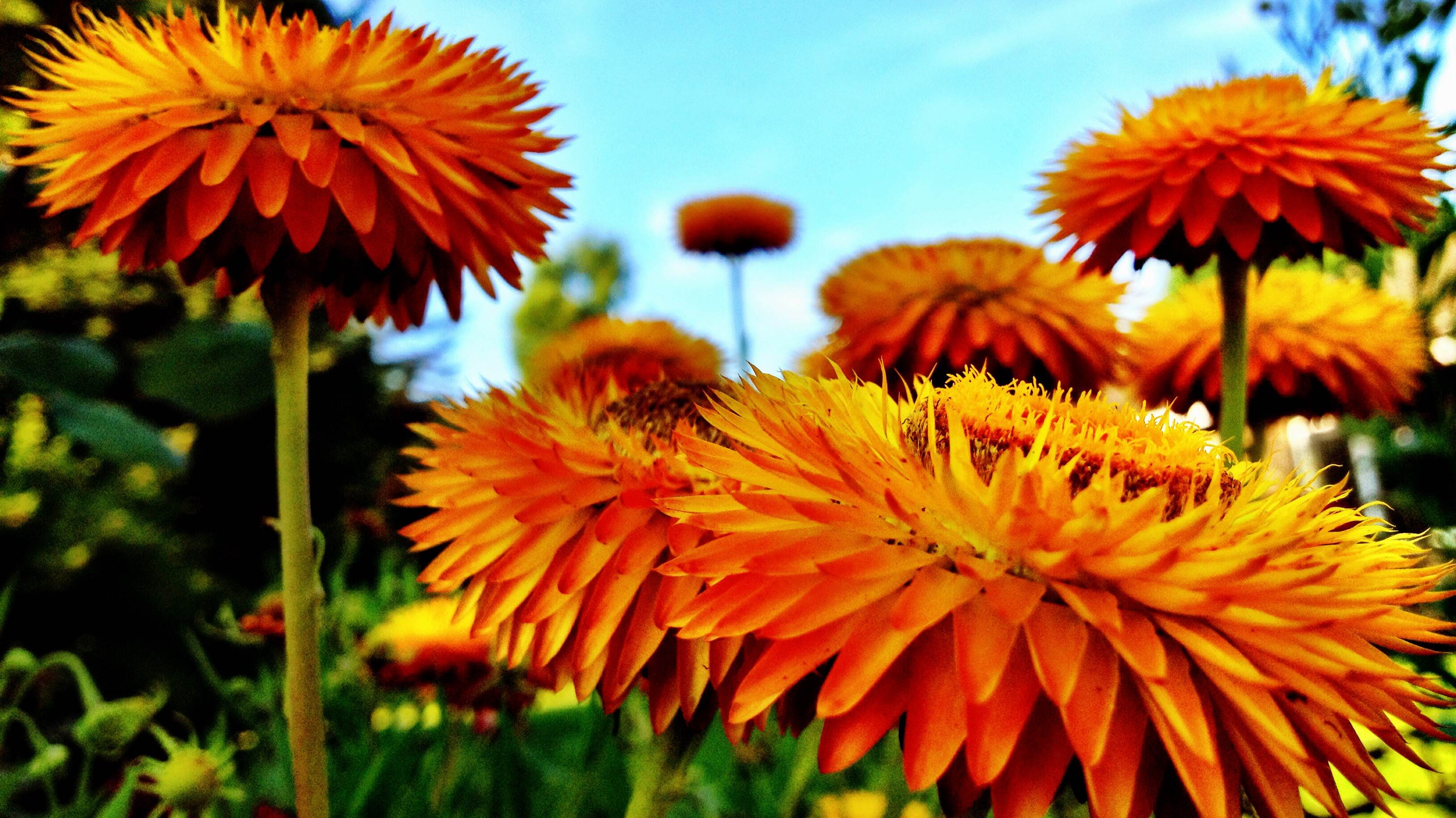 Calendar Weather A little cooler into Sunday ITV News Calendar