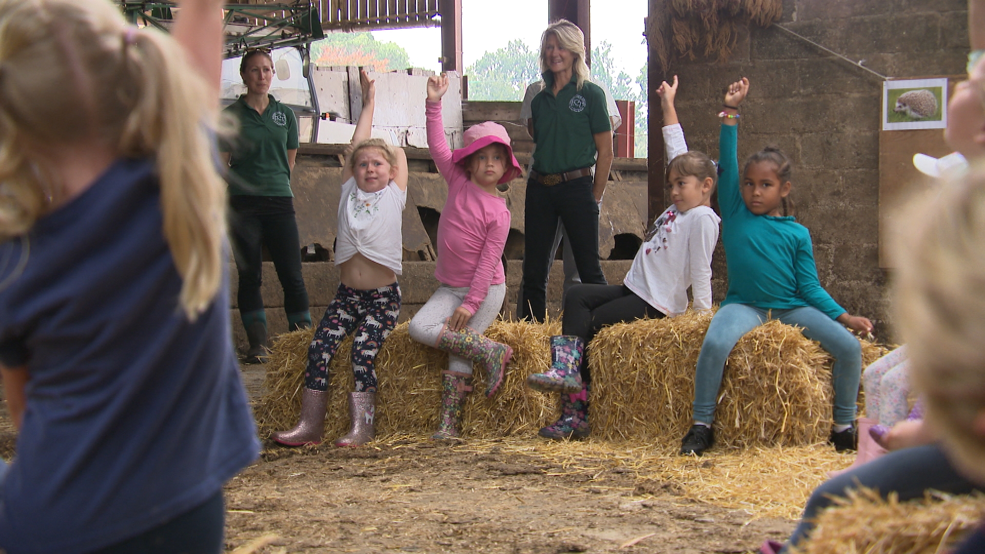 Dorset farm opens up to local school so it has more space for children