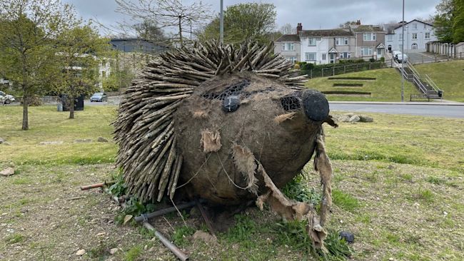 Truro hedgehogs