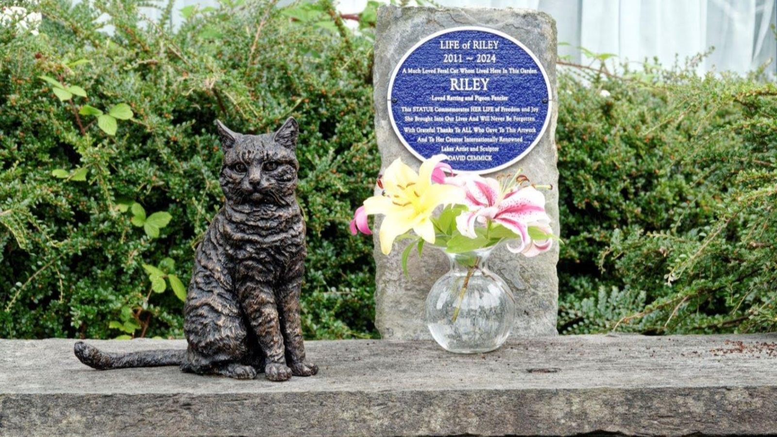 Riley the Lakes' stray community cat has been honoured with a statue ...