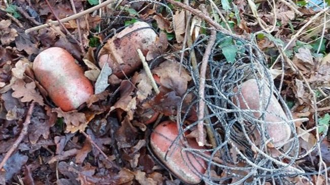 A bundle of wire is tangled on leaves by the side of the lake.