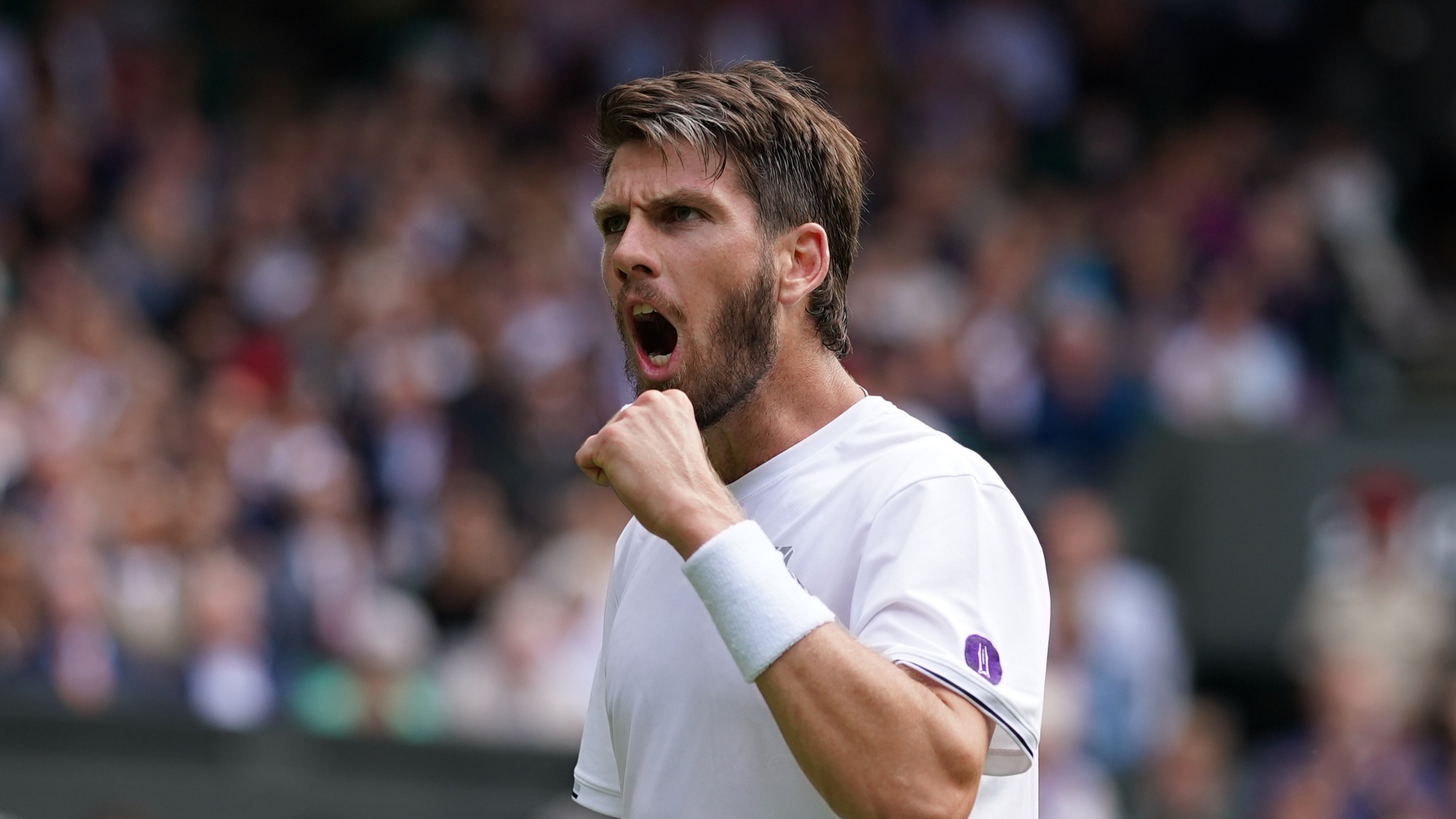 Wimbledon: Britain's Cameron Norrie Beats Steve Johnson To Make Fourth ...