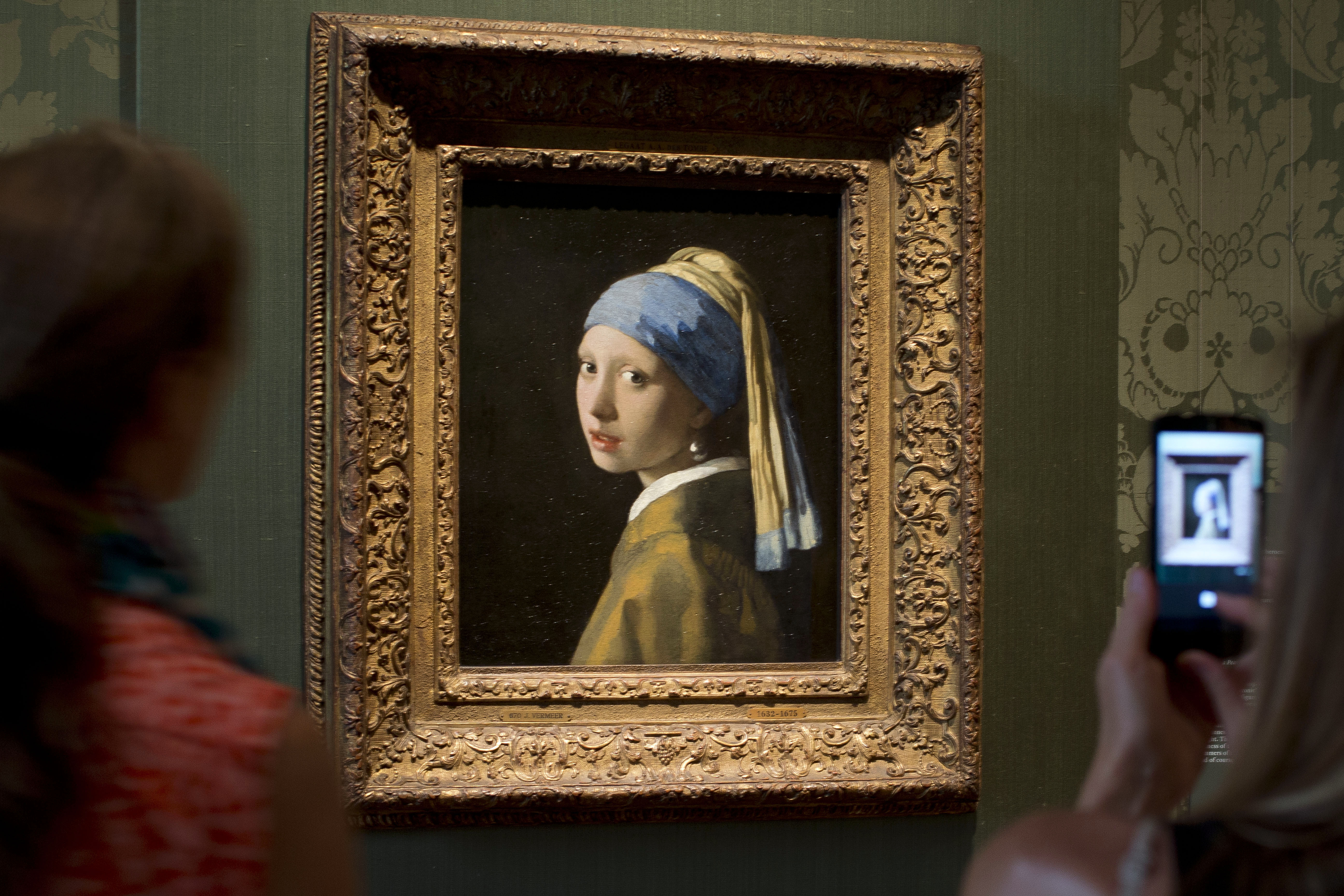 Just Stop Oil activist tries to glue own head to Girl with a Pearl Earring, Environmental activism