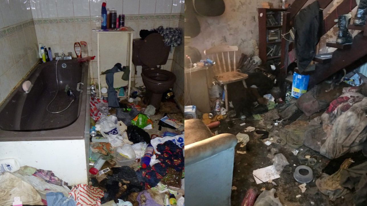 Woman sentenced after starving and decomposing animals found in Bacup ...