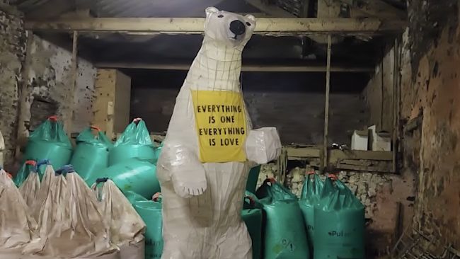 22/10/21. Clarion the polar bear, in Cumbria. ITV pic