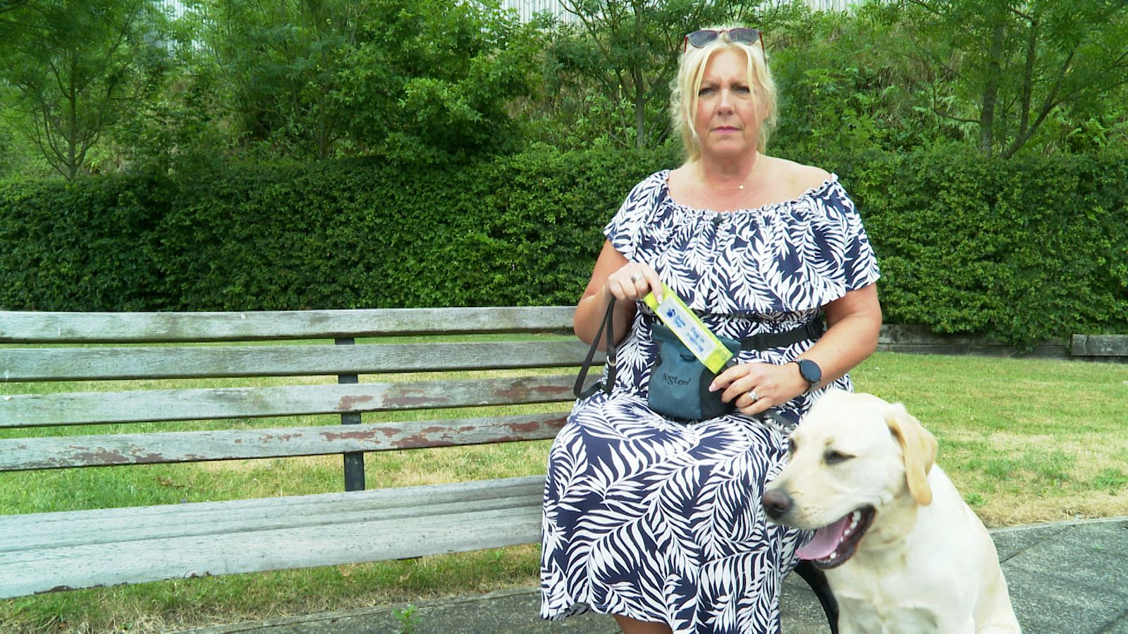 Guide Dogs charity seeks more puppy trainers across the North West ...
