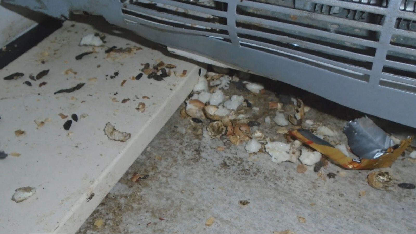 Food Store Except Rats Store owner with 'worst rat infestation ever seen' fined almost £30,000 ...