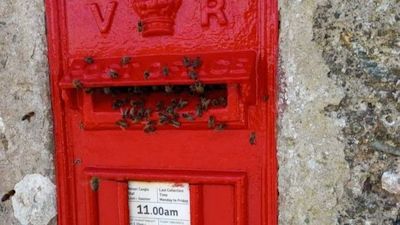 060722 Bee post box