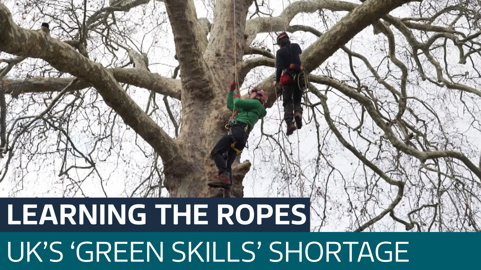 The 'green skills' jobs needed to preserve the UK's nature spots - Latest From ITV News