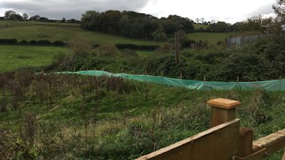 Fields at Little Blagdon Farm, Collaton St Mary