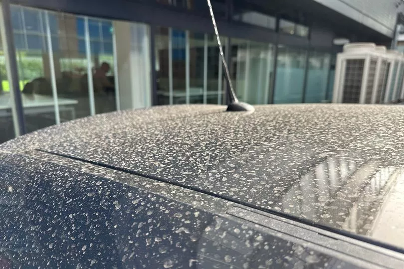 Why cars were covered in a layer of Saharan dust after heatwave rainfall