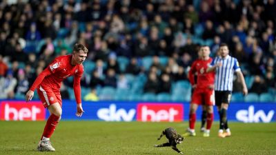 Wigan Athletic's Jason Kerr attempts to remove a cat from the pitch