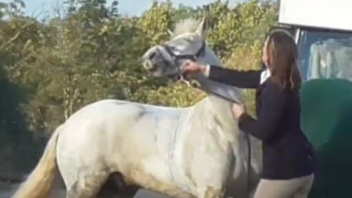 1600px x 900px - Ex-teacher filmed kicking and slapping pony during Cottesmore Hunt cleared  of cruelty | ITV News Calendar