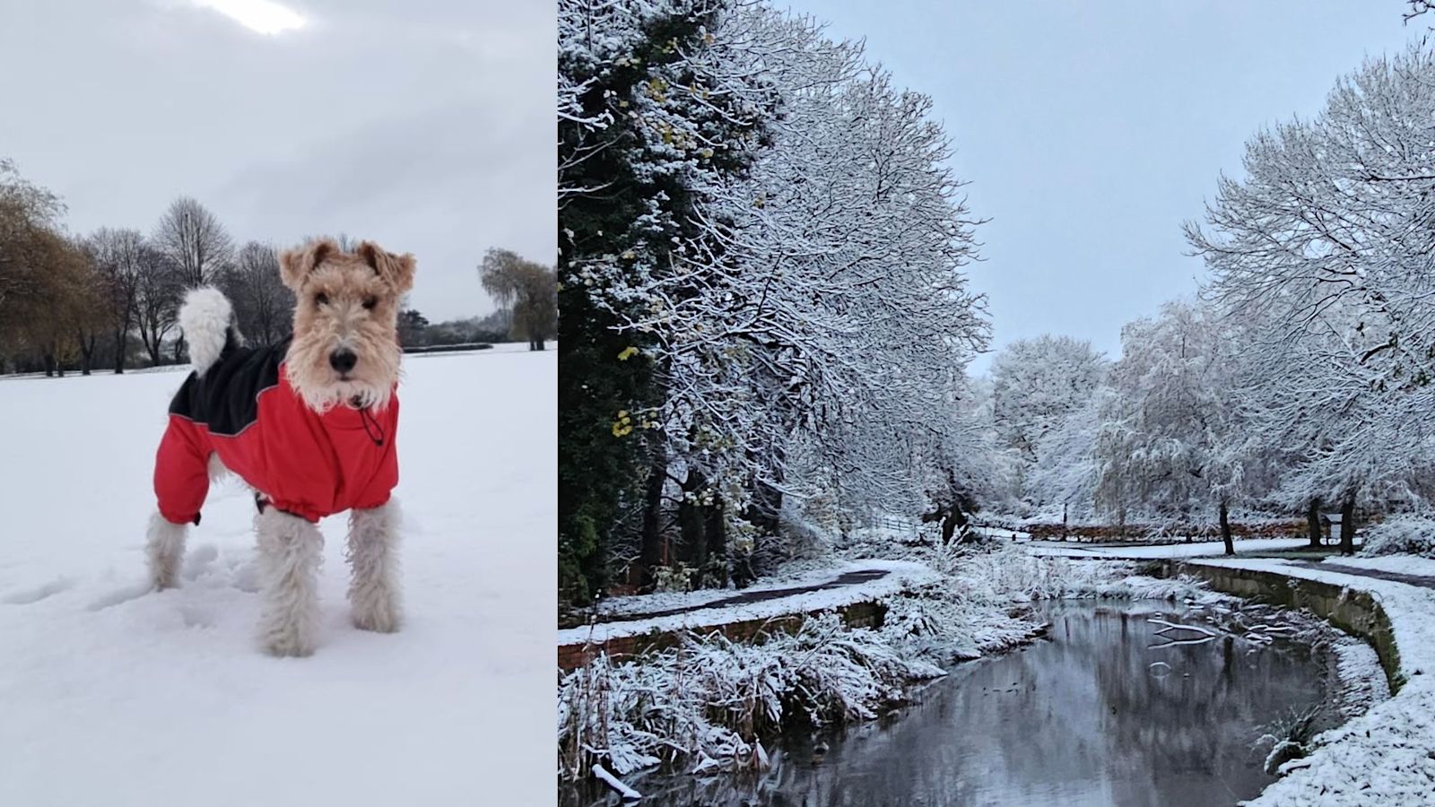 Snow In Midlands In pictures: Viewers' best photographs as snow hits the Midlands | ITV ...