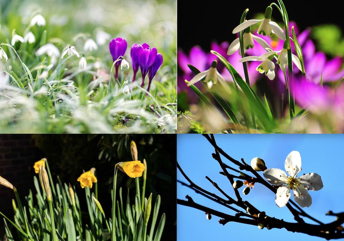 Your Granada Weather Photos February 2021 ITV News Granada Your Granada Weather Photos February 2021 ITV News Granada