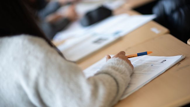 A stock image of a school girl (non-identifiable)