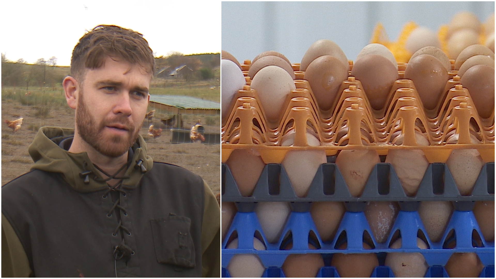 Rising energy prices and bird flu threat cause fears over egg shortage