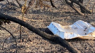 Disposable BBQ in Puddletown