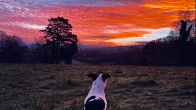 There's something truly spectacular about a sunrise here in Wales at this time of the year. And if you're not up early enough to catch it, here's what you're missing!