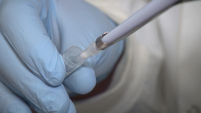 Dorset vaccine