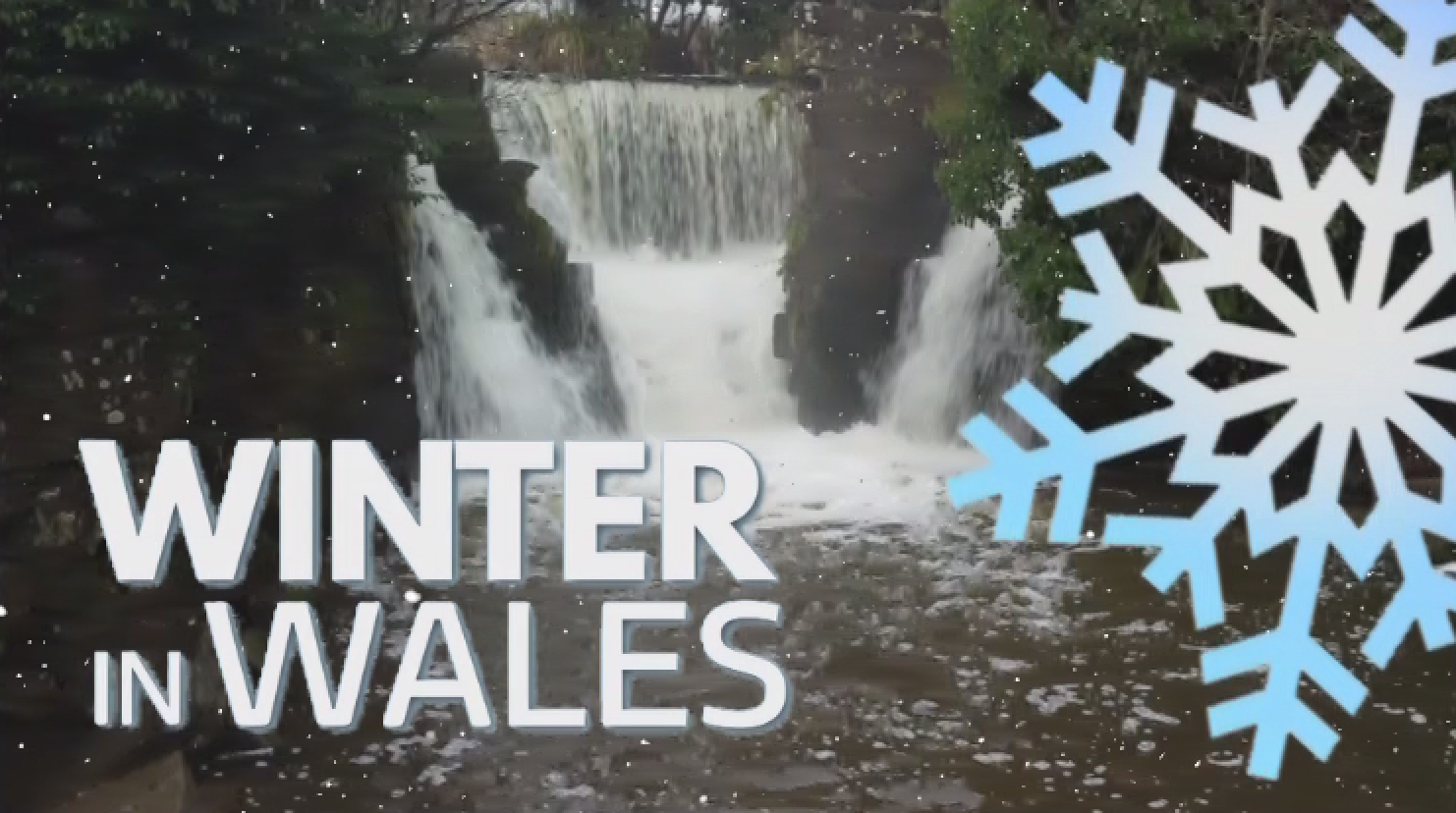 Winter in Wales: The Swansea village that harbours a secret woodland ...