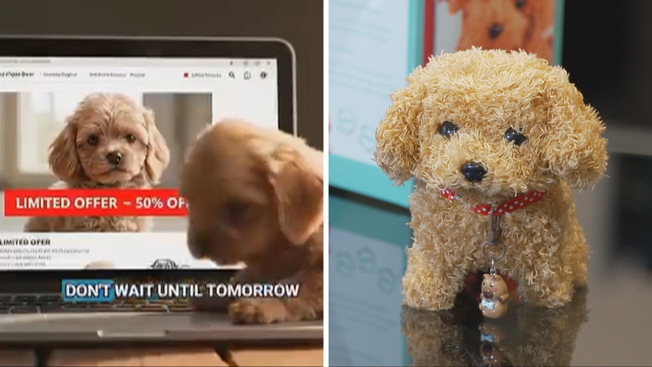 ‘Robot puppy’ Facebook ad banned as customers report being misled by AI content