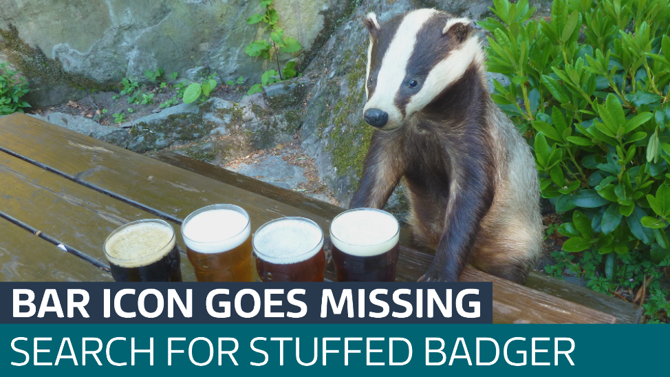 Search underway for a beloved stuffed badger - Latest From ITV News