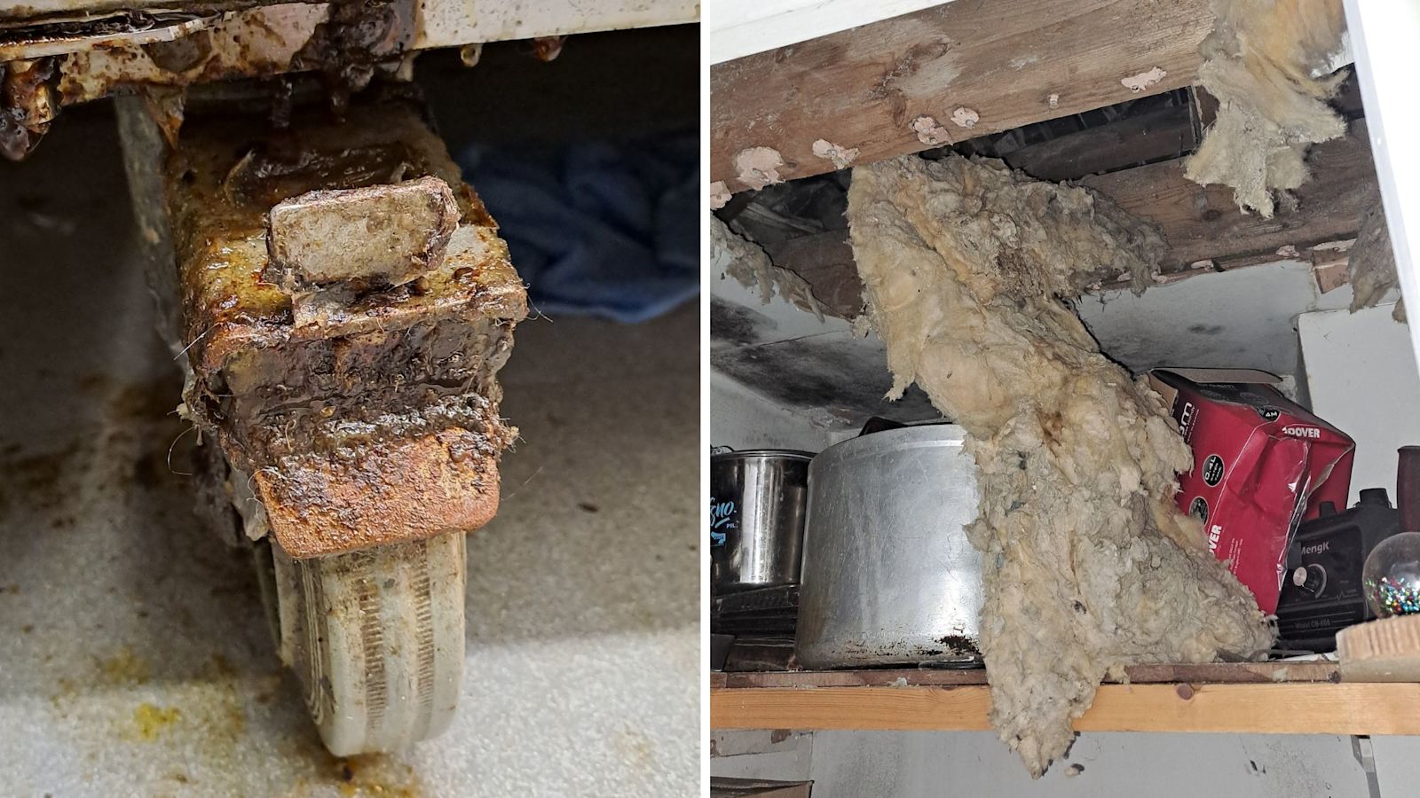 Infested Restaurant Rat-infested Newquay restaurant fined for food safety breaches | ITV ...