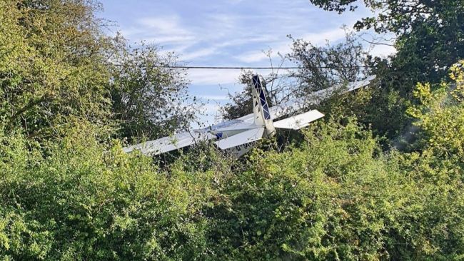 A light aircraft lost power and ditched into hedging one mile south of Dunstable in Bedfordshire after colliding with a pigeon shortly after take off.