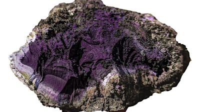 Purple Making Rome Rare Roman discovery found in Carlisle | ITV News Border
