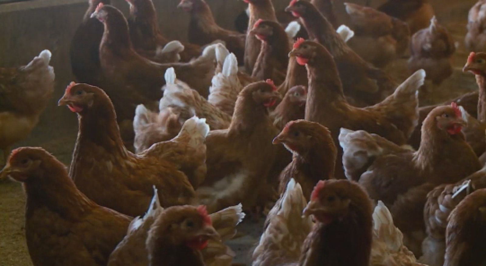 Beautiful view of Safe Use Of After The Links Elimination Cold Restriction