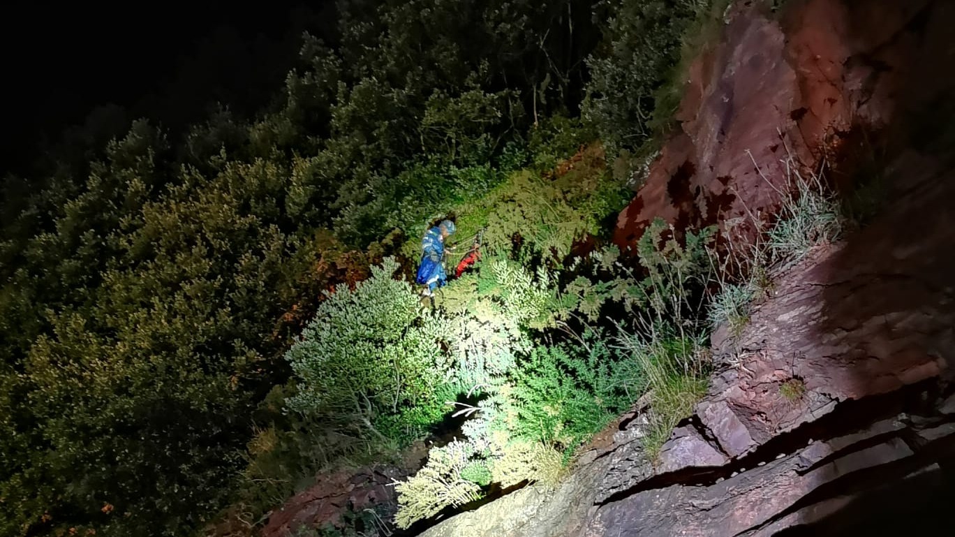 Dog saved after falling from cliffs in Cornwall | ITV News West Country