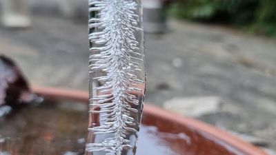 Ice spike in plant pot