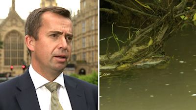 240724 MER PMQ SEWAGE HERO