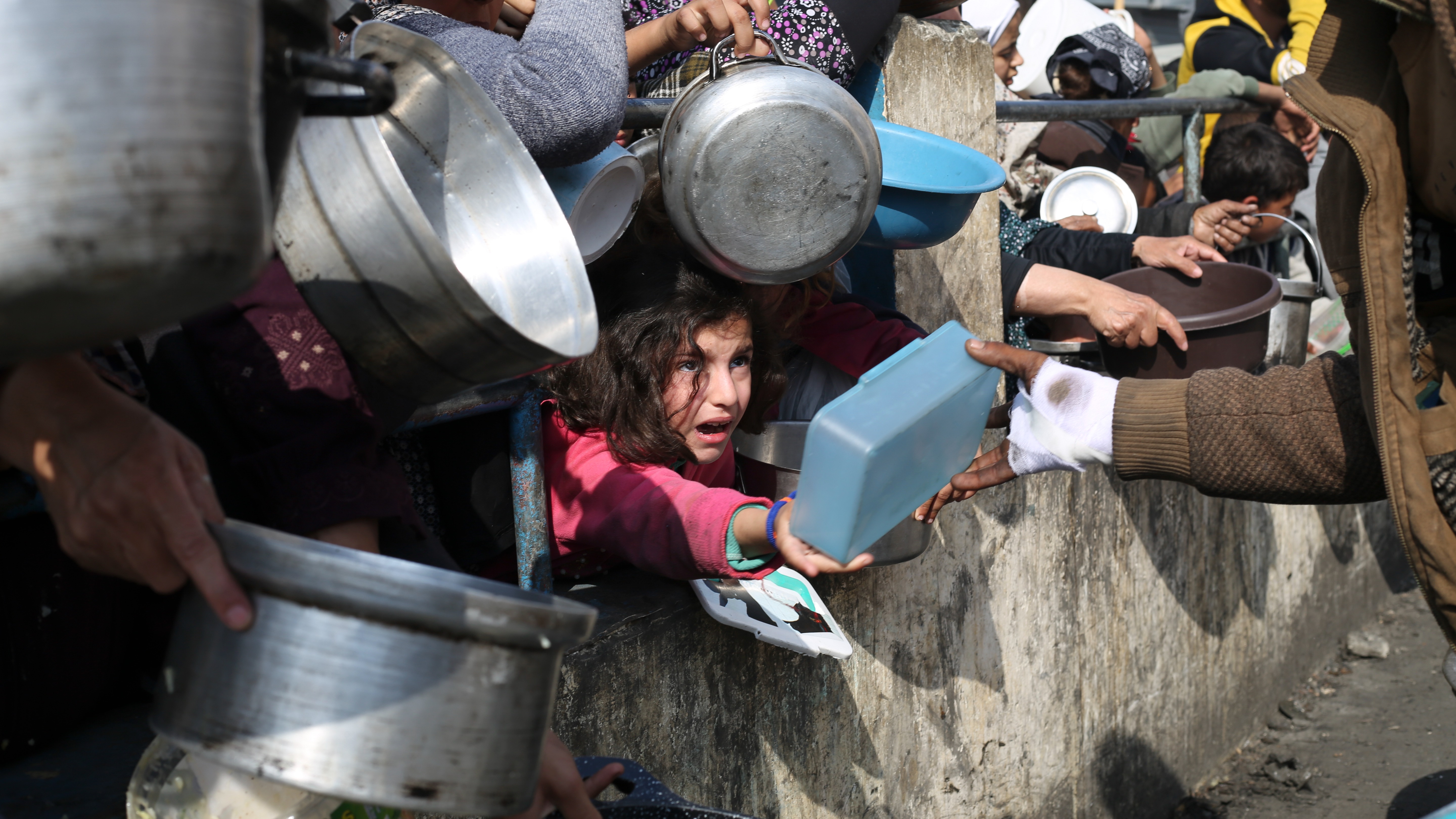 Famine confirmed in Gaza City for the first time by UN-backed body