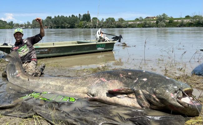 Local man catches record-breaking fish
