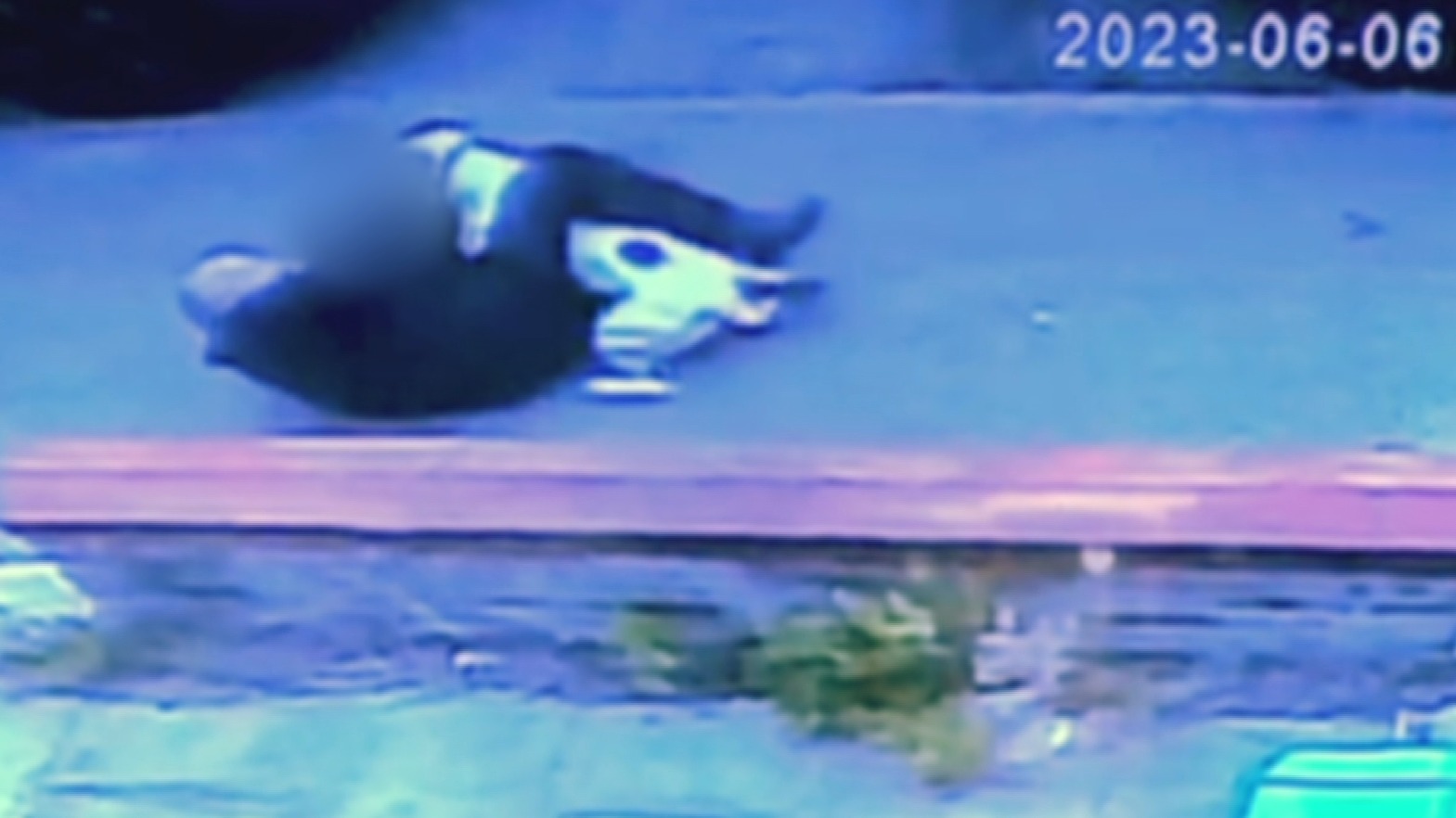 CCTV shows 'savage' attack from large dog which saw man lose finger and