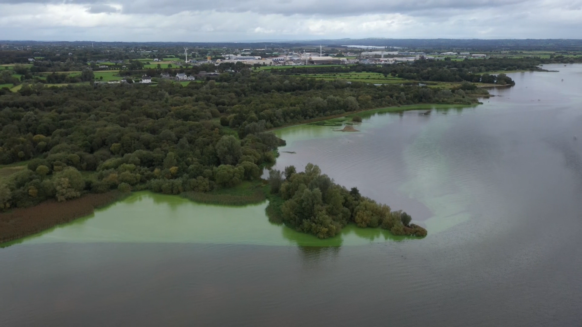 Lough Neagh: How climate change intensified toxic algae on the